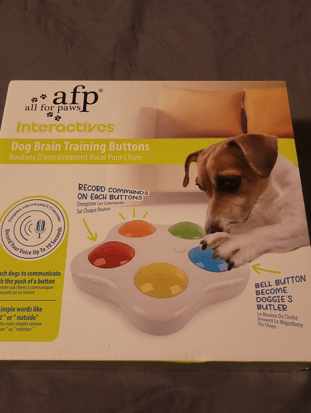 all for paws | Colorful Dog Talking Buttons